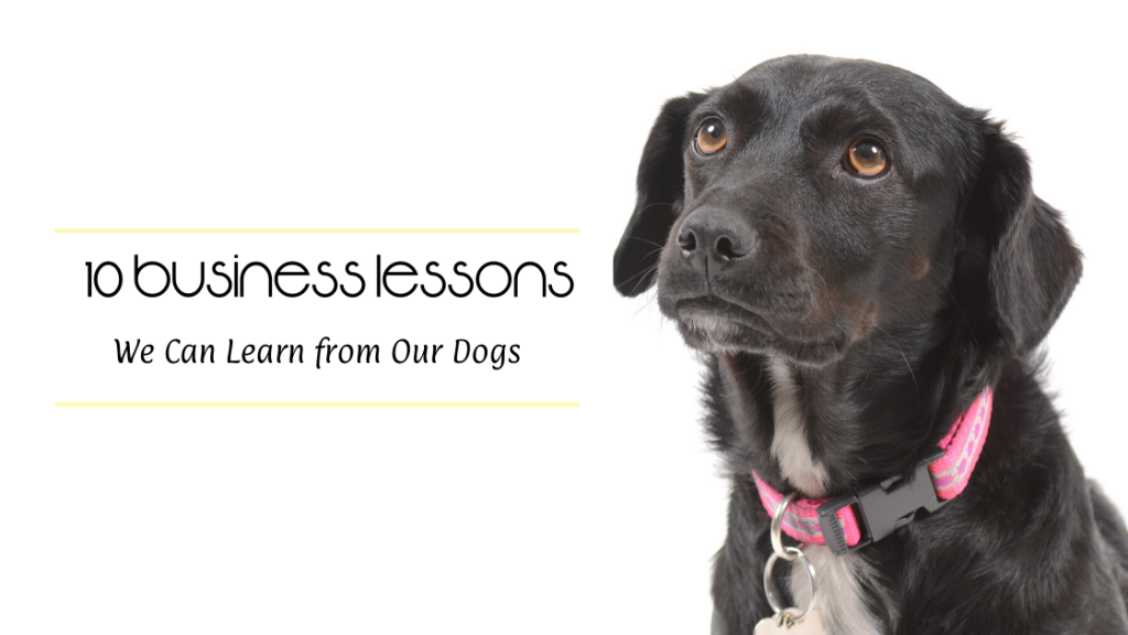 10 Business Lessons We Can Learn from Our Dogs