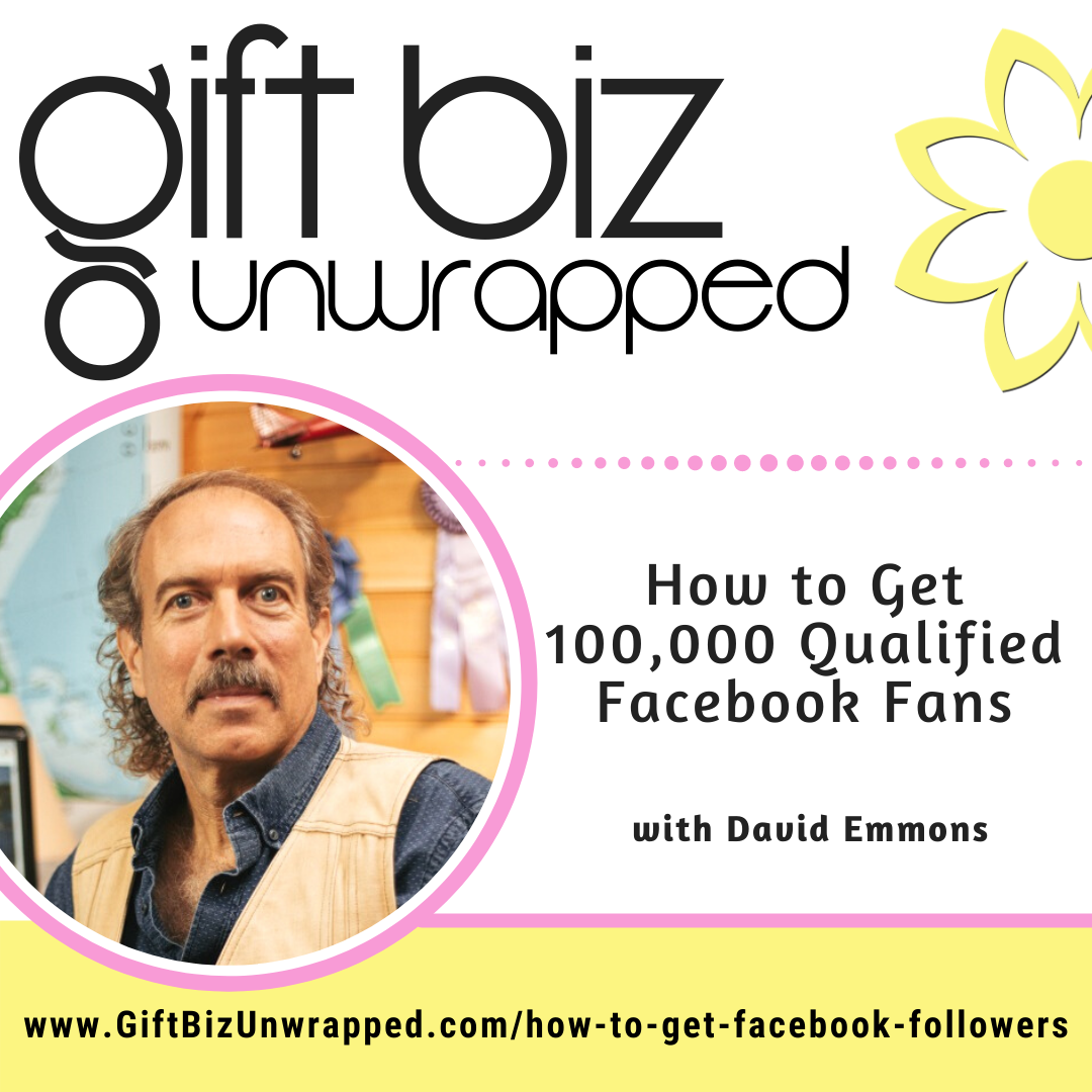 300-how-to-get-100-000-qualified-facebook-fans-with-david-emmons-of