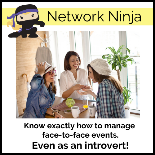 Network Ninja Mini Course