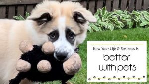 life is better with pets featured